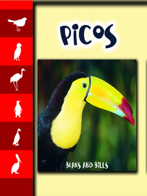 cover image of Picos (Beaks and Bills)
